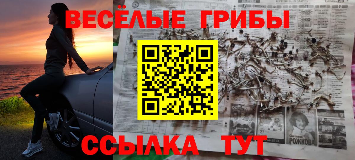 Сертолово  Псилоцибиновые грибы GOLDEN TEACHER  Вход с VPN  Псилоцибиновые грибы Psilocybine cubensis 