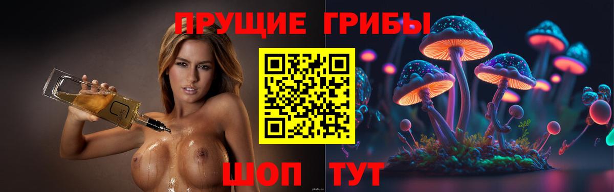 Галлюциногенные грибы мицелий Сертолово